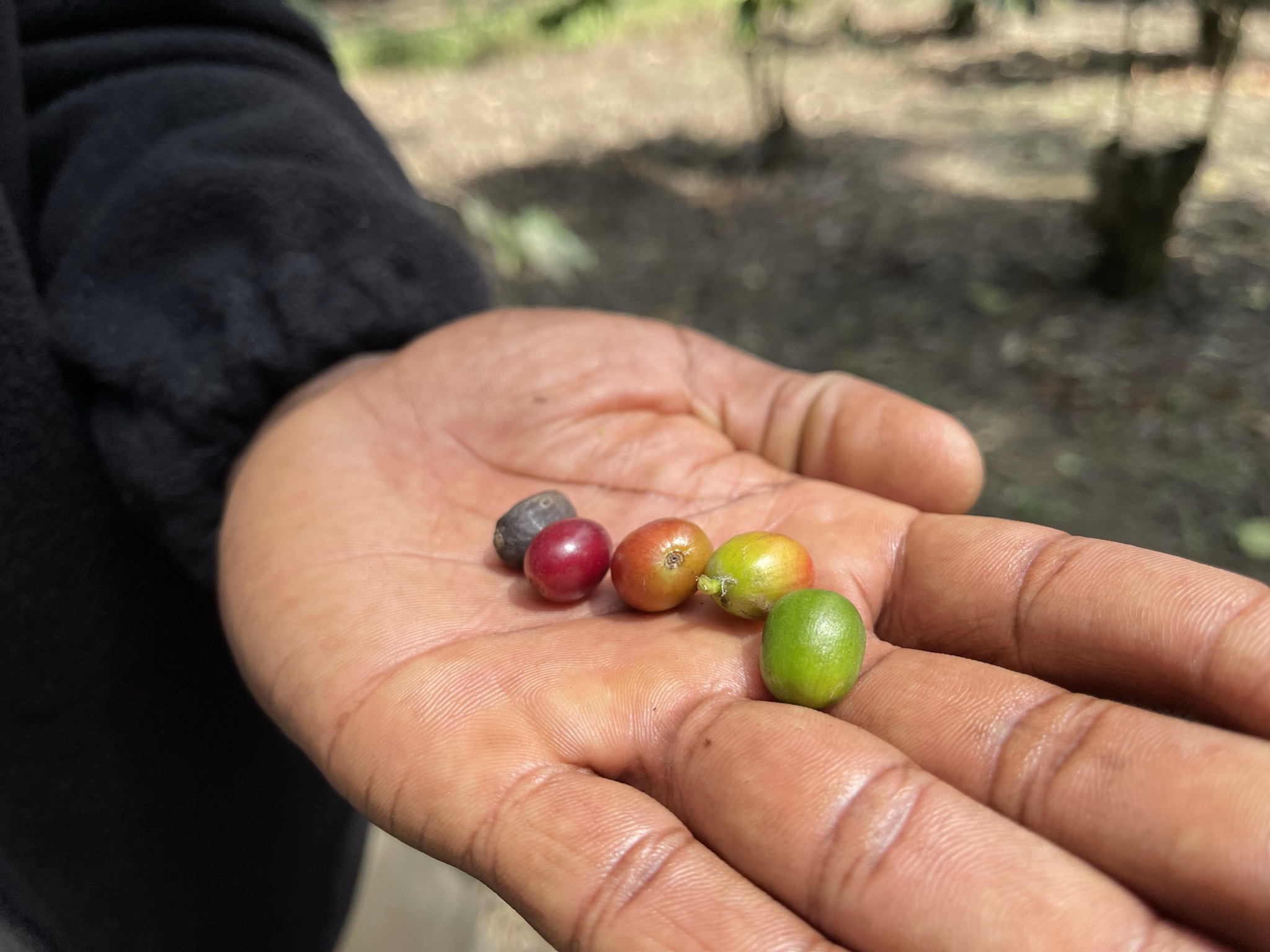 Unser erstes freies Wochenende | Unser freies Wochenende Blog